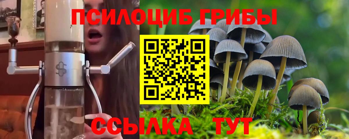 Галлюциногенные грибы Cubensis  Вход с VPN  Ртищево 